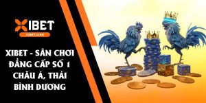 đá gà ae888 xibet