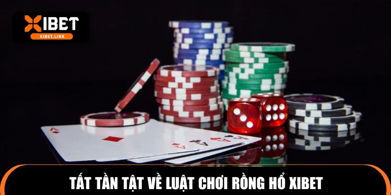 Tất tần tật về luật chơi rồng hổ XIBET
